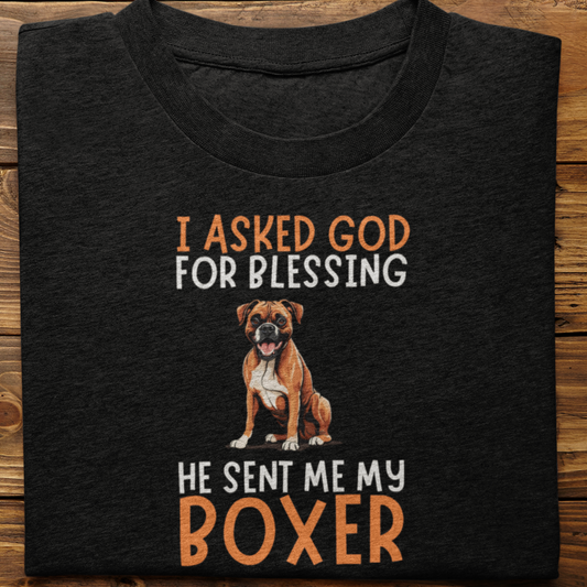 Boxer :  I Asked God For Blessing Tshirt Unisex