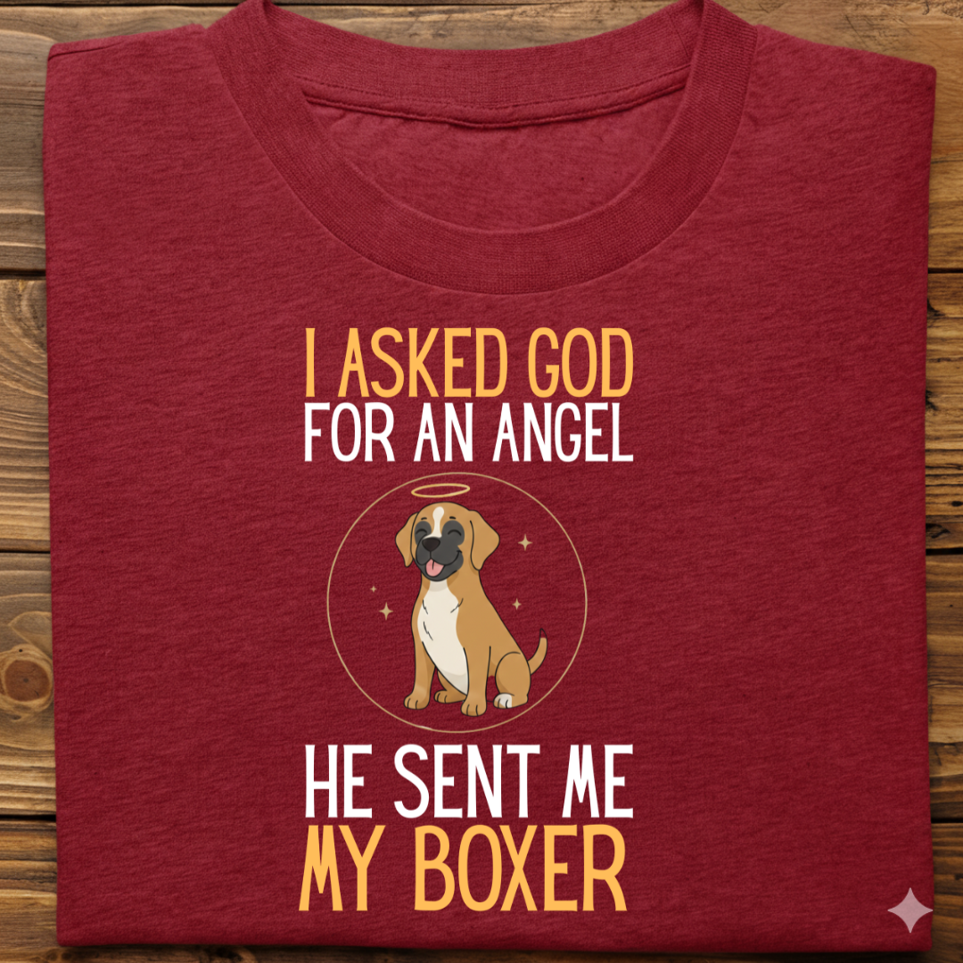 Boxer : I Asked God Angel Tshirt Unisex
