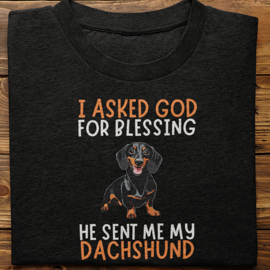 Dachshund :  I Asked God For Blessing Tshirt Unisex