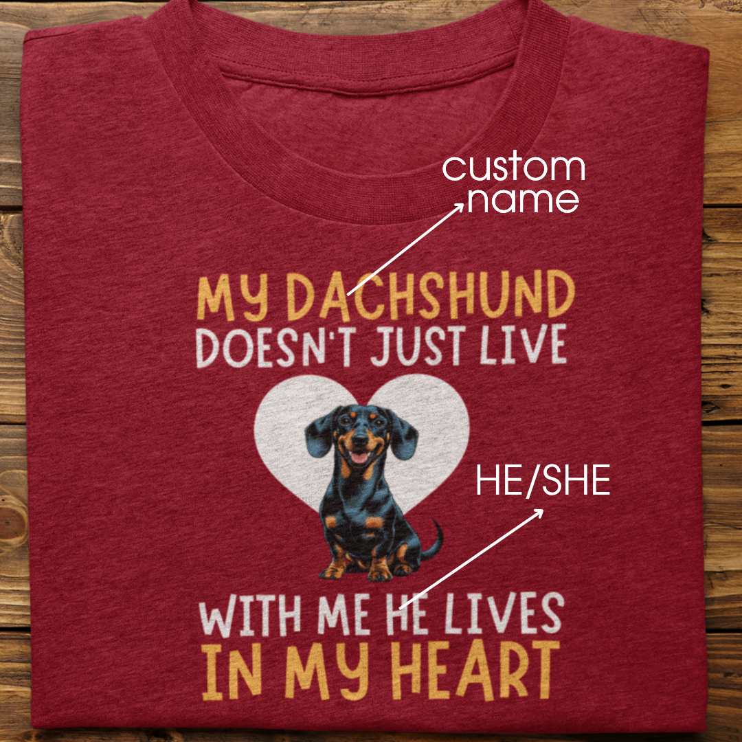 Dachshund : My Dachshund Doesn't Just Live