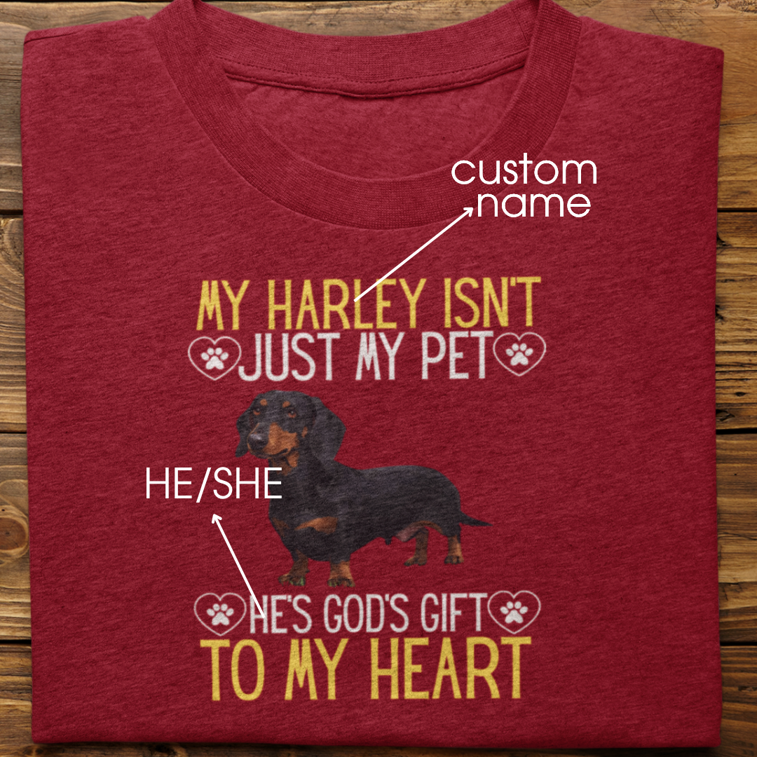 Dachsund : God's Gift Tshirt Unisex