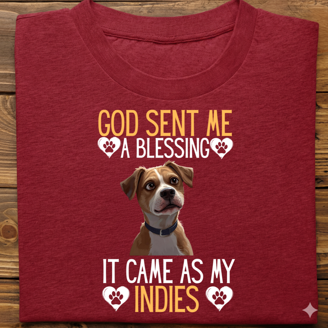 Indies : God Sent Blessing Tshirt Unisex