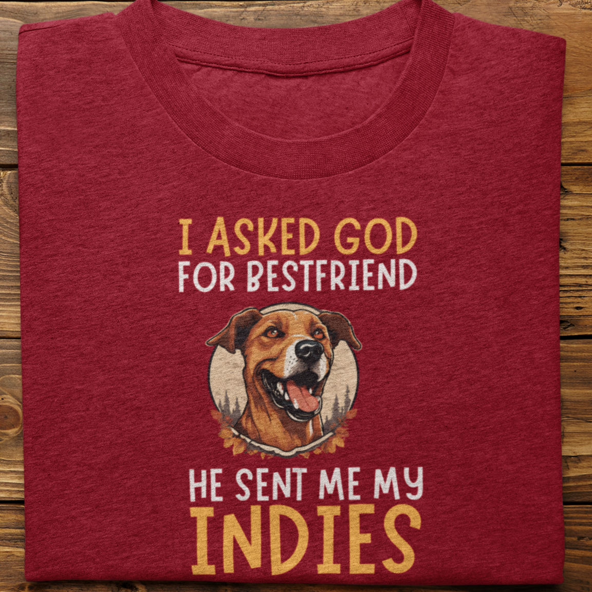 Indies : I Asked God For Best Friend Tshirt Unisex
