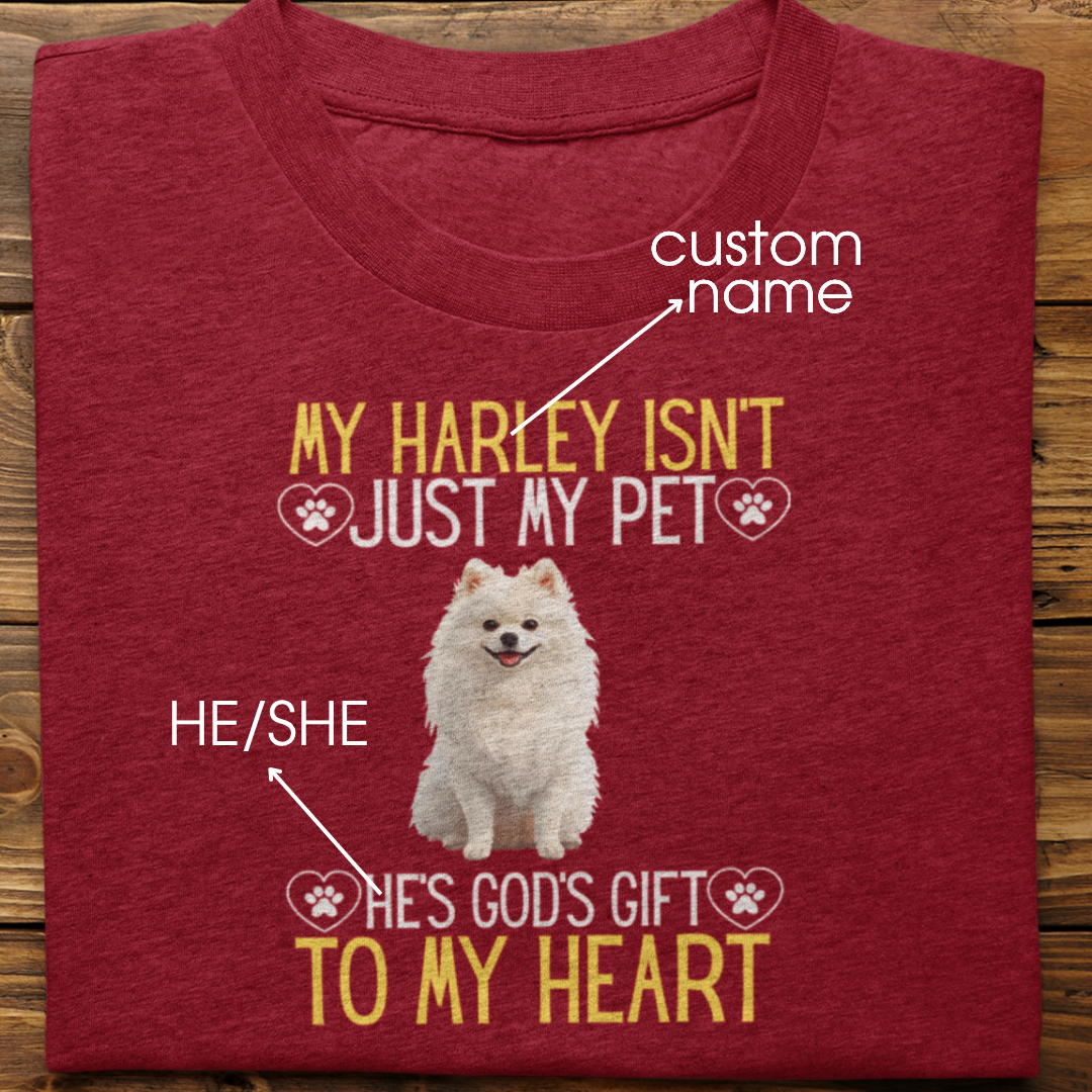 Pomeranian : God's Gift Tshirt Unisex