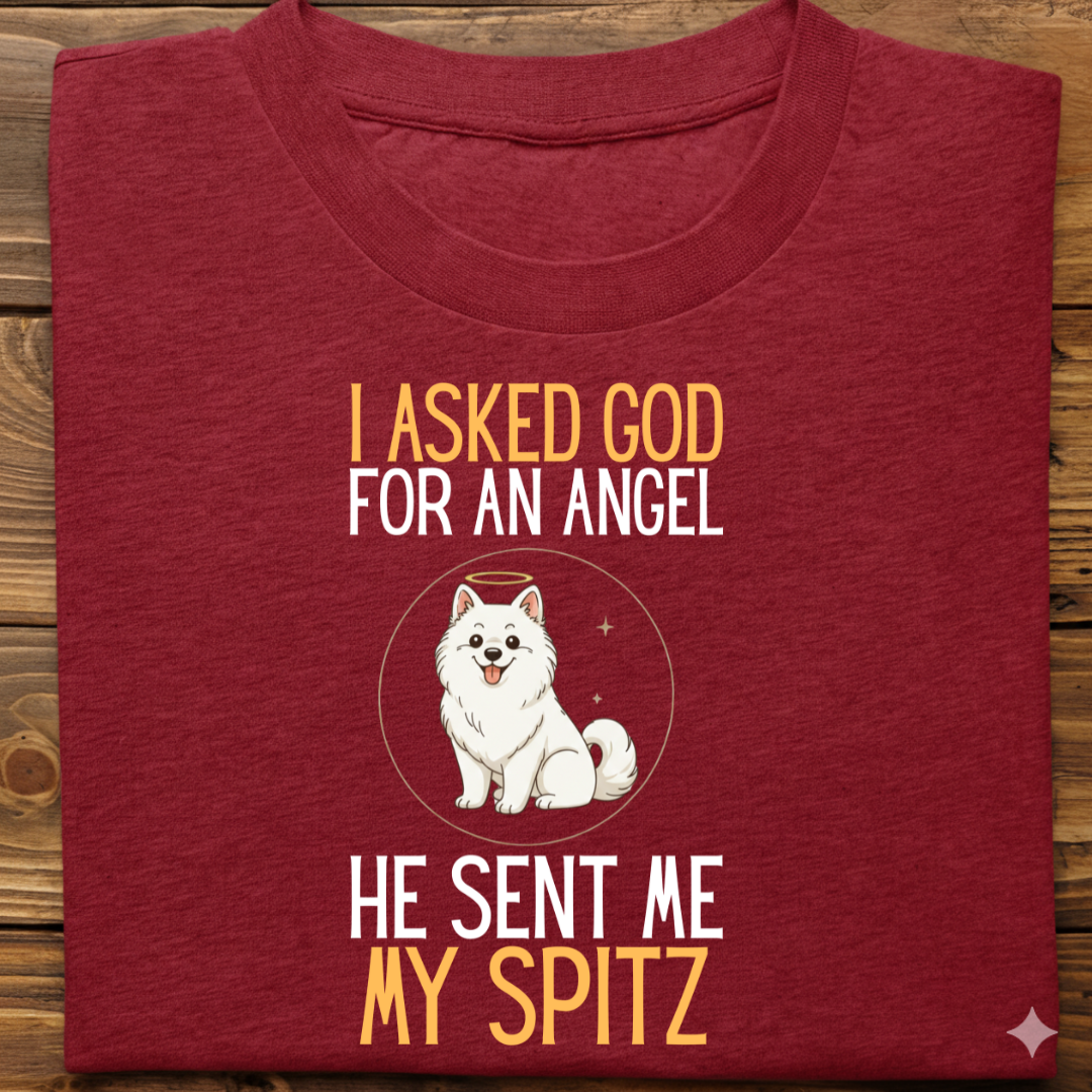 Spitz : I Asked God Angel Tshirt Unisex