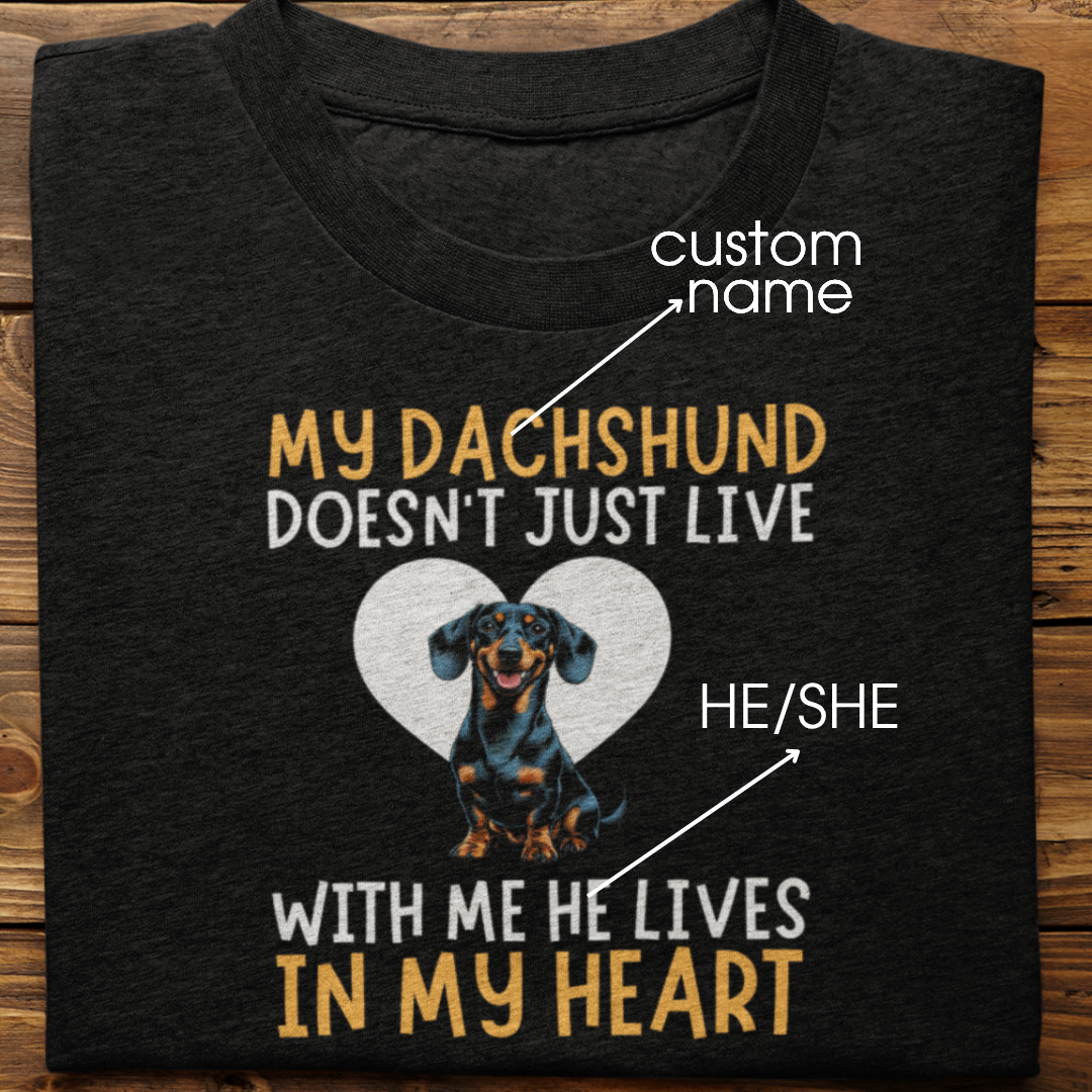 Dachshund : My Dachshund Doesn't Just Live