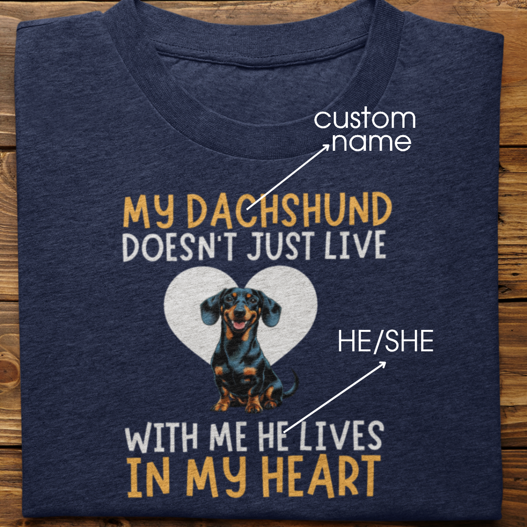 Dachshund : My Dachshund Doesn't Just Live