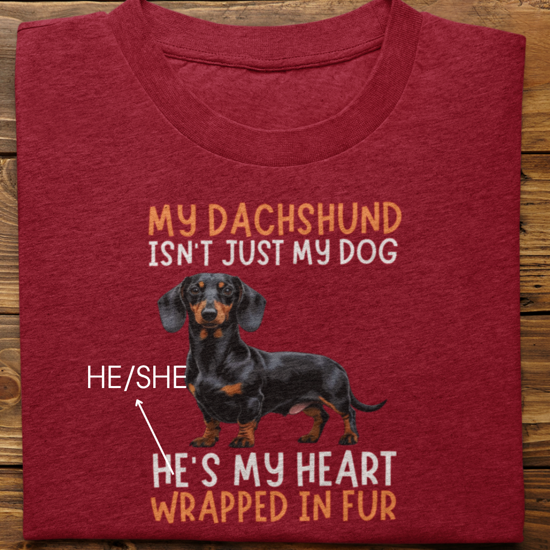 Dachshund : My Dachshund Isn't Just Tshirt Unisex