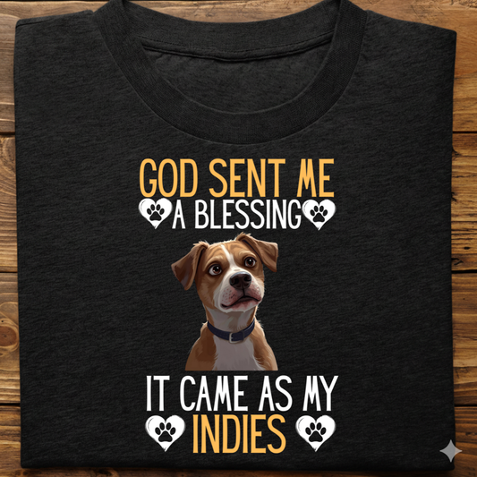 Indies : God Sent Blessing Tshirt Unisex