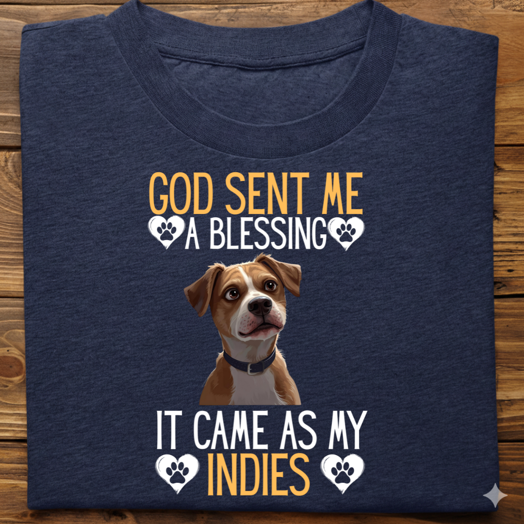 Indies : God Sent Blessing Tshirt Unisex