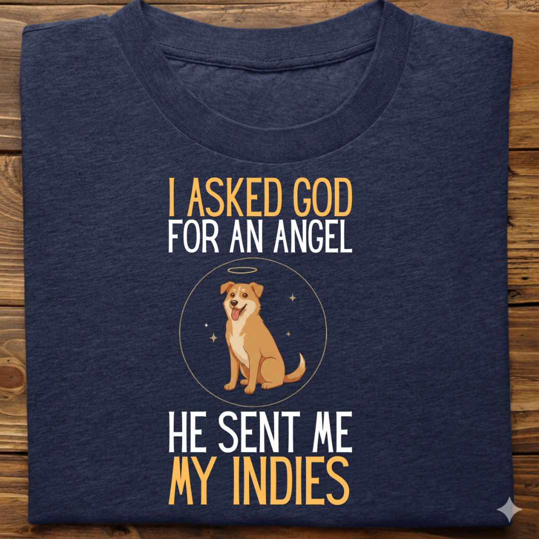 Indies : I Asked God Angel Tshirt Unisex