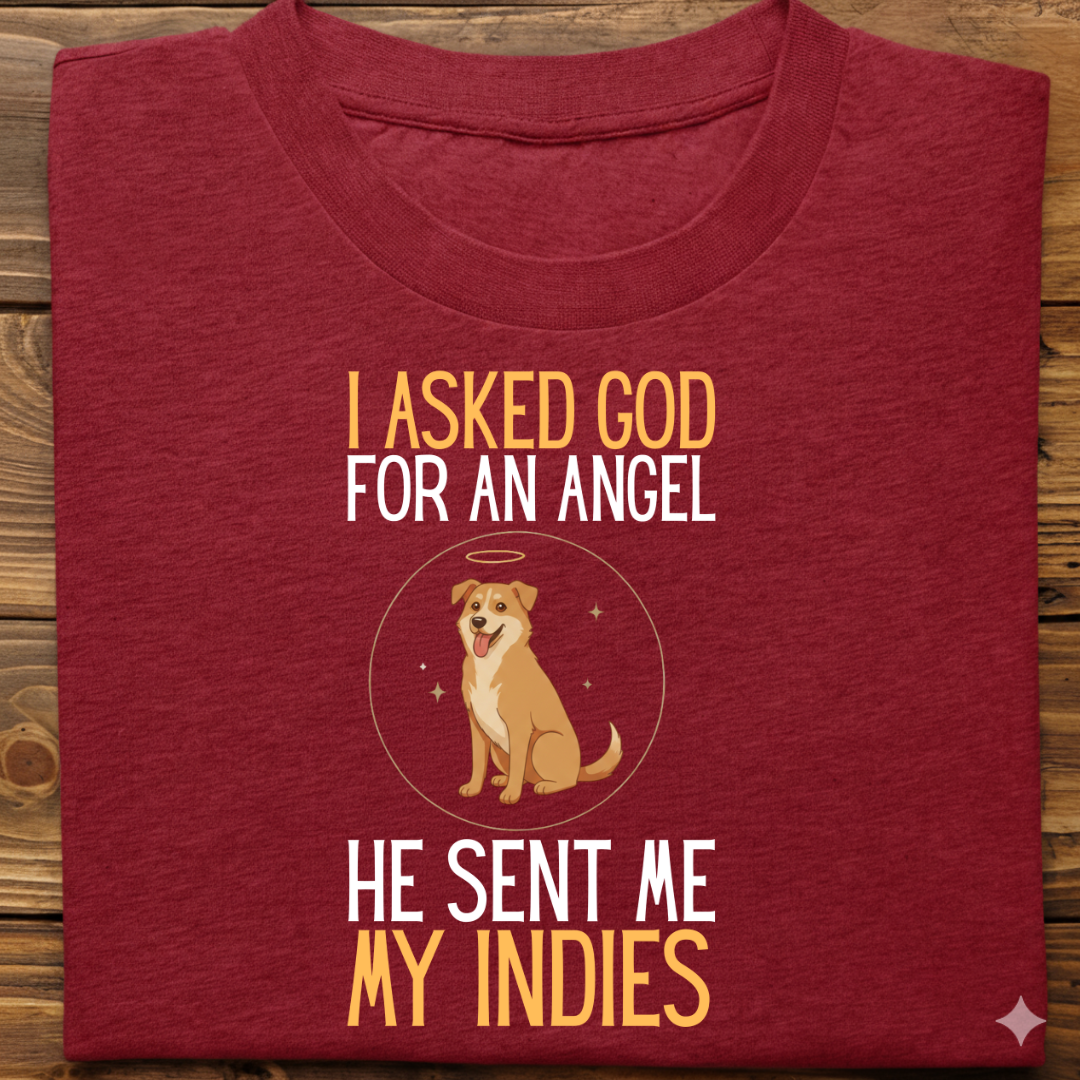 Indies : I Asked God Angel Tshirt Unisex