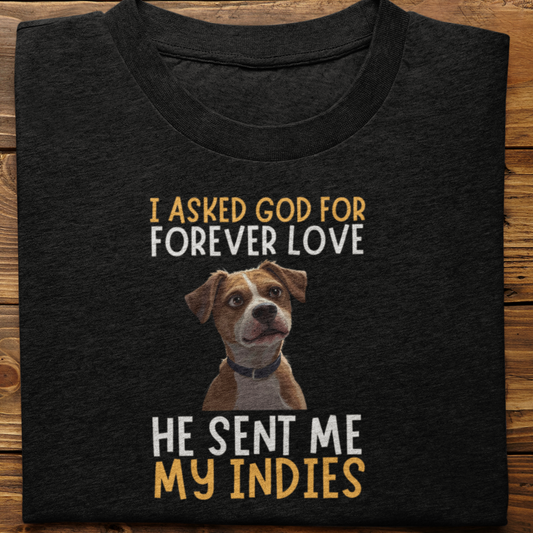 Indies : I Asked God For Forever Love Tshirt Unisex