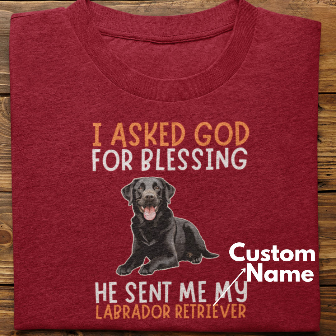 Labrador :  I Asked God For Blessing Tshirt Unisex (Black-Custom)
