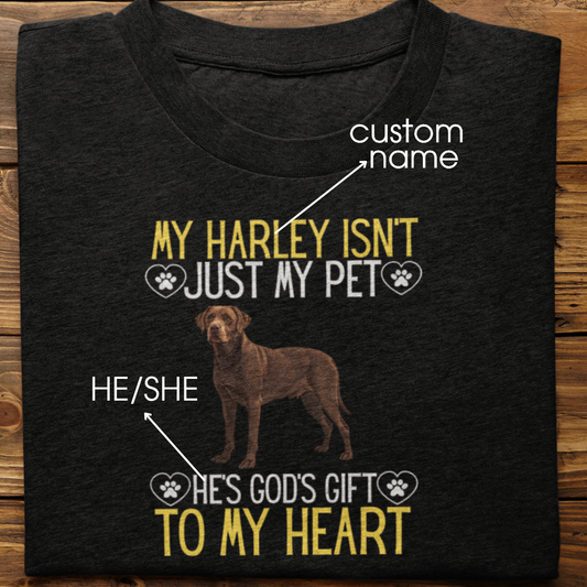 Labrador Retriever : God's Gift Tshirt Unisex(Brown)