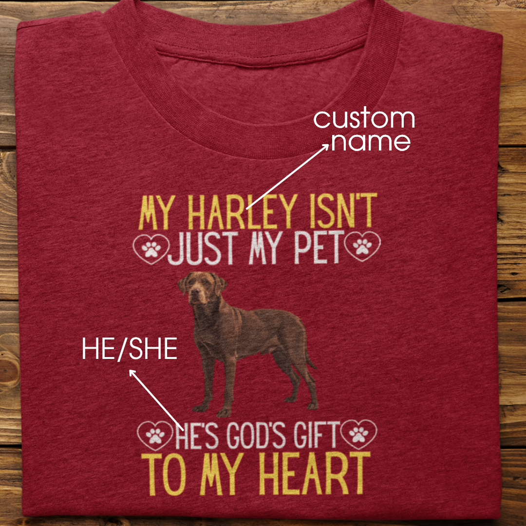 Labrador Retriever : God's Gift Tshirt Unisex(Brown)