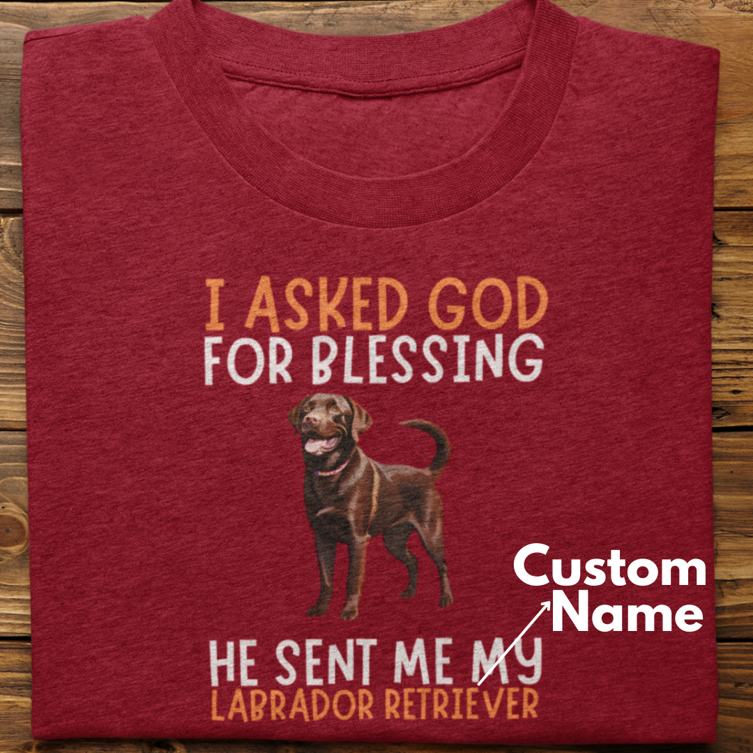 Labrador :  I Asked God For Blessing Tshirt Unisex (Chochlate-Custom)