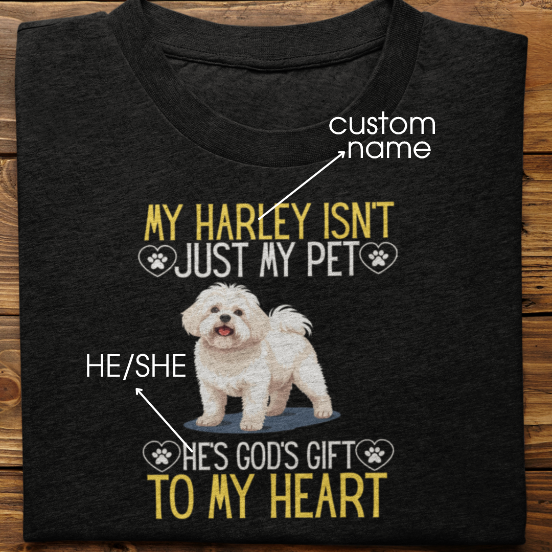 Lhasa Apso : God's Gift Tshirt Unisex