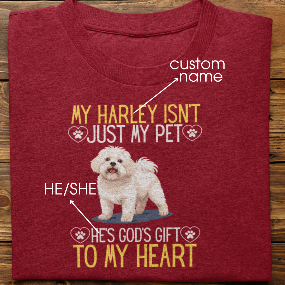 Lhasa Apso : God's Gift Tshirt Unisex