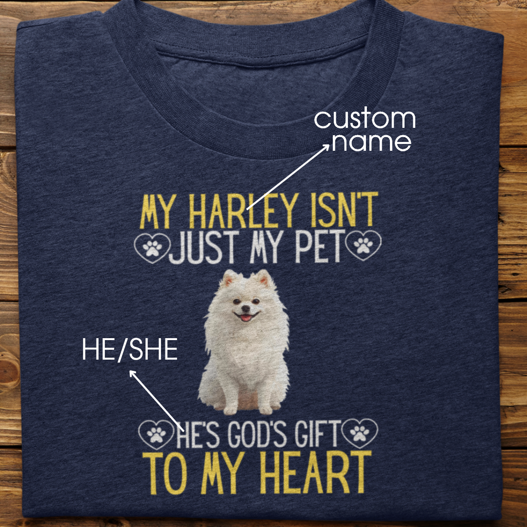 Pomeranian : God's Gift Tshirt Unisex