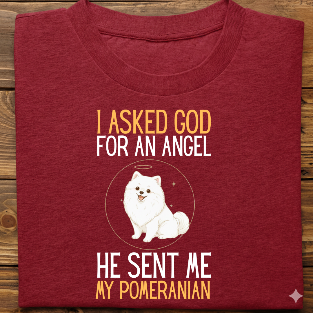 Pomeranian : I Asked God Angel Tshirt Unisex
