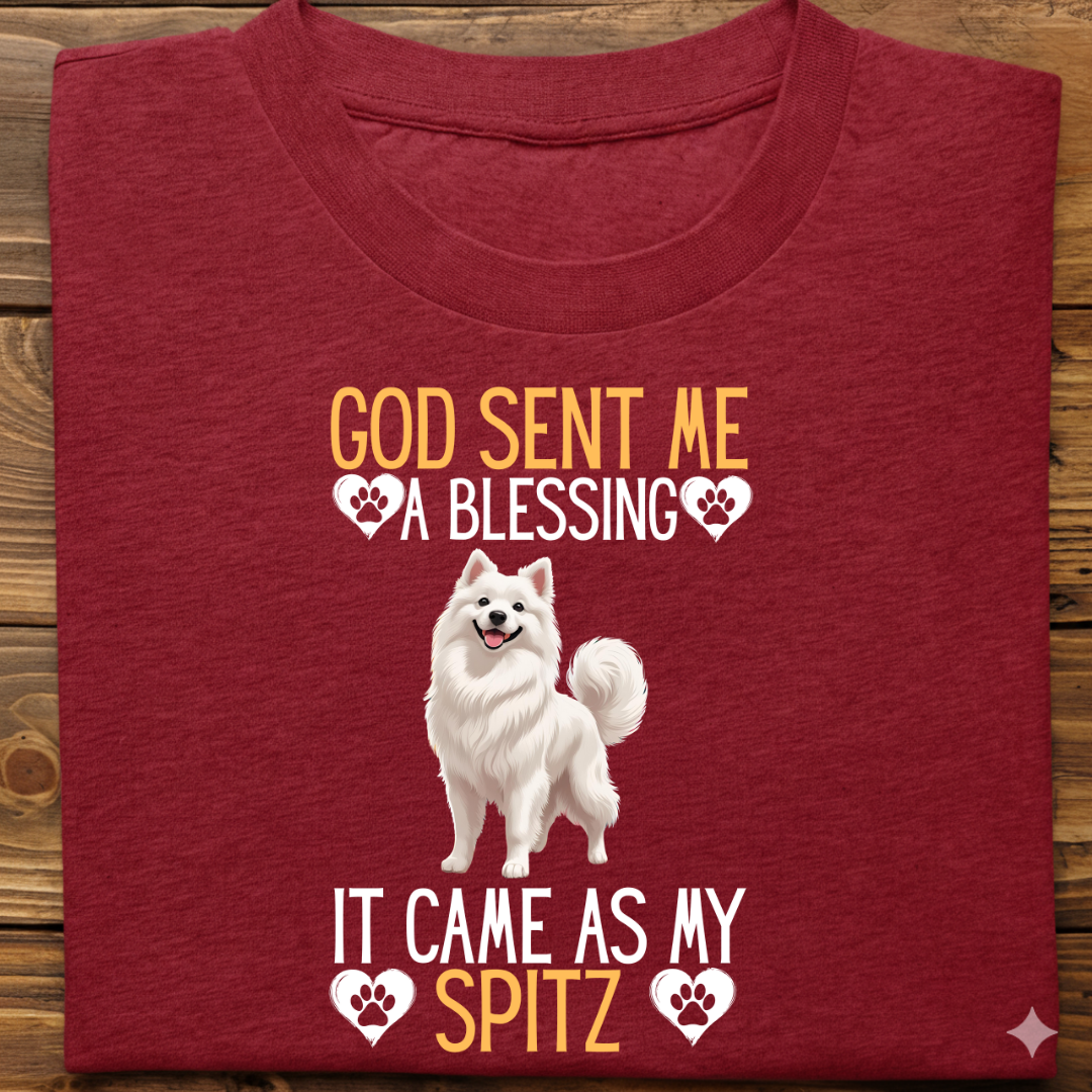 Spitz: God Sent Blessing Tshirt Unisex