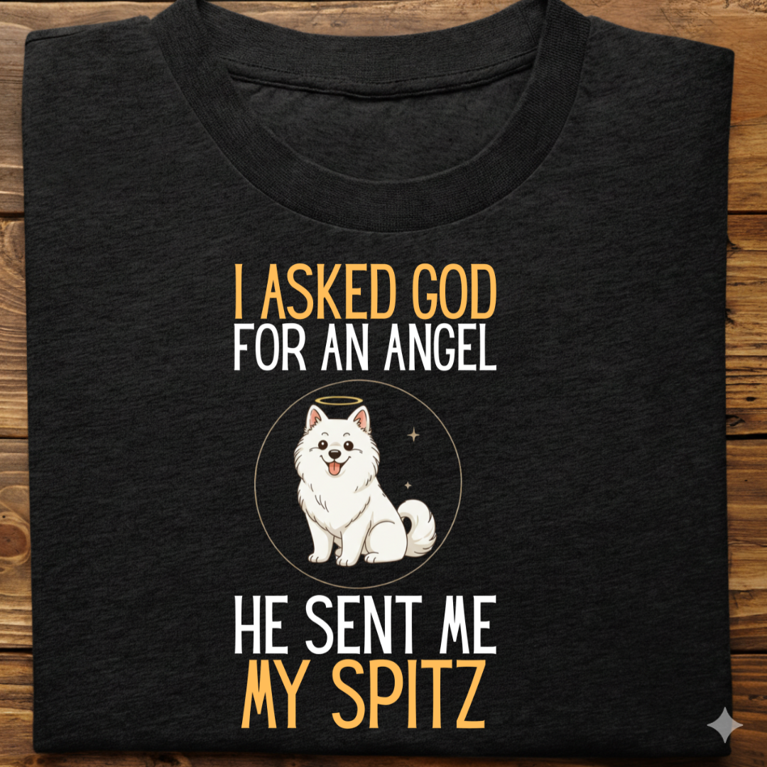 Spitz : I Asked God Angel Tshirt Unisex