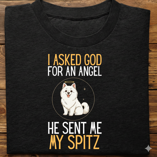 Spitz : I Asked God Angel Tshirt Unisex