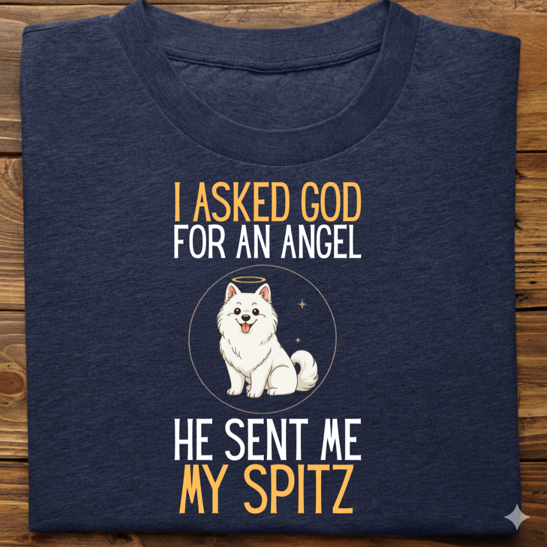 Spitz : I Asked God Angel Tshirt Unisex
